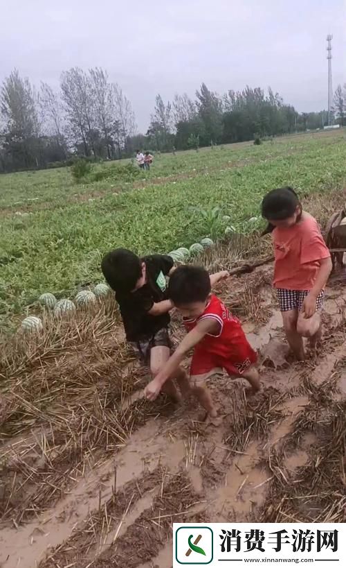 “乡村的快乐生活