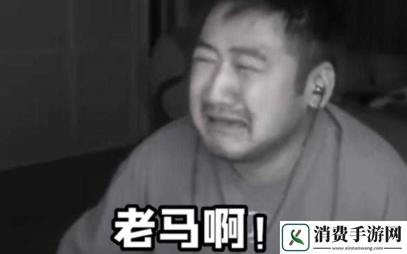 分享老马表情包及茄子相关