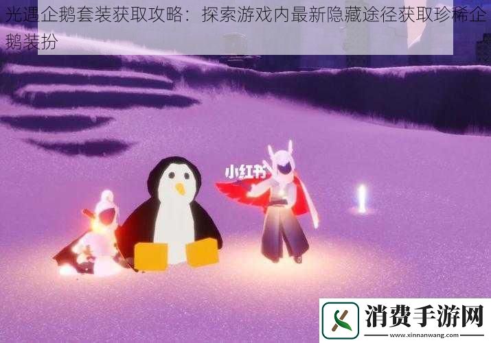 光遇企鹅套装获取攻略