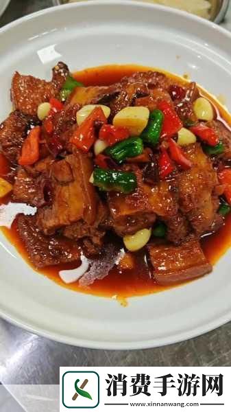 太子宠妾高肉红烧肉包讲的什么