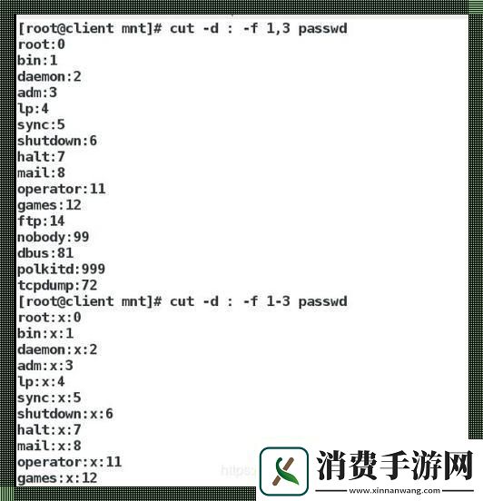 shell脚本运行指令