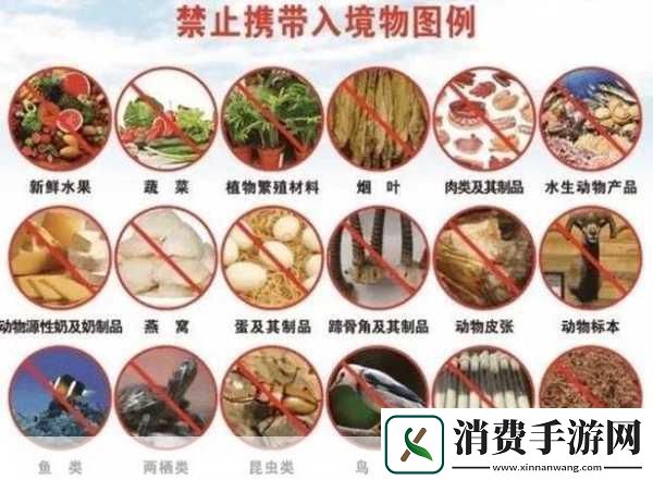 家里能代替棒棒的东西有哪些好处