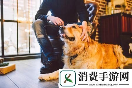 “喵星人与汪星人的奥秘