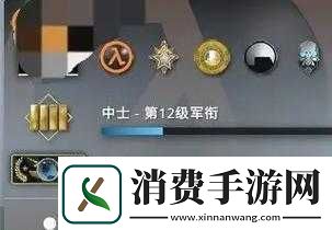 CSGO双AK段位是什么水平