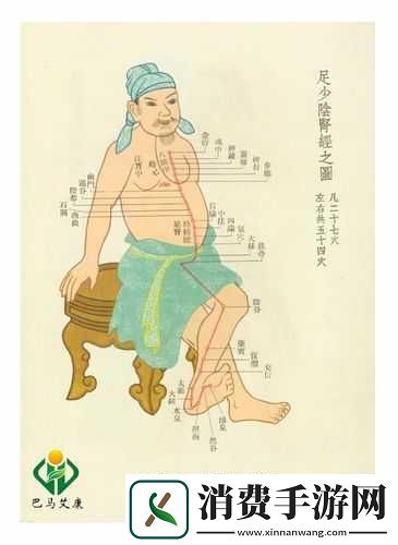 真北斗无双7级经络图怎么刷