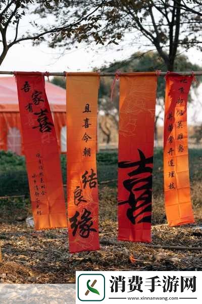 王妃回门后的离奇遭遇1.