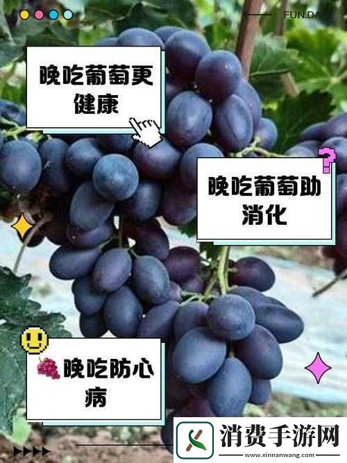 葡萄不准掉出来晚上检查