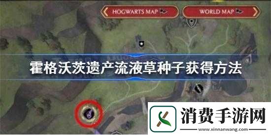 霍格沃茨之遗流液草获取指南