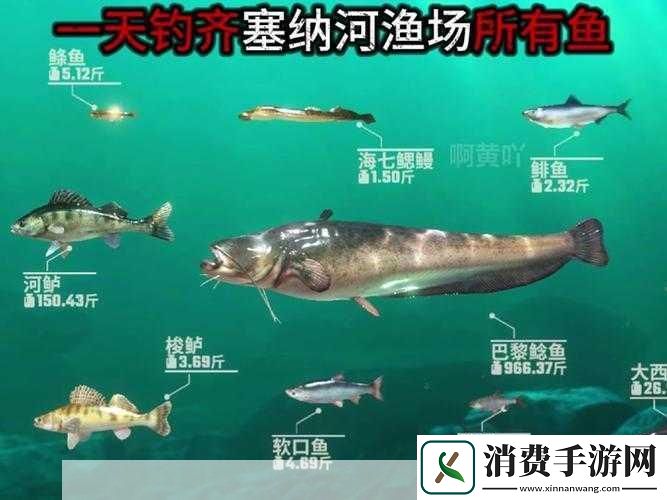 欢乐钓鱼大师锦标赛玩法详解