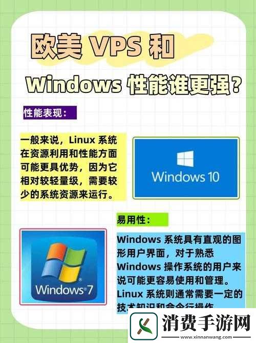 美国和欧洲WINDOWSVPS