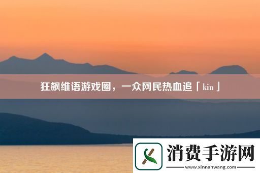狂飙维语游戏圈一众网民热血追「kin」