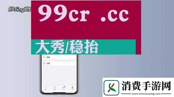 国产一区二区区别之差异探讨