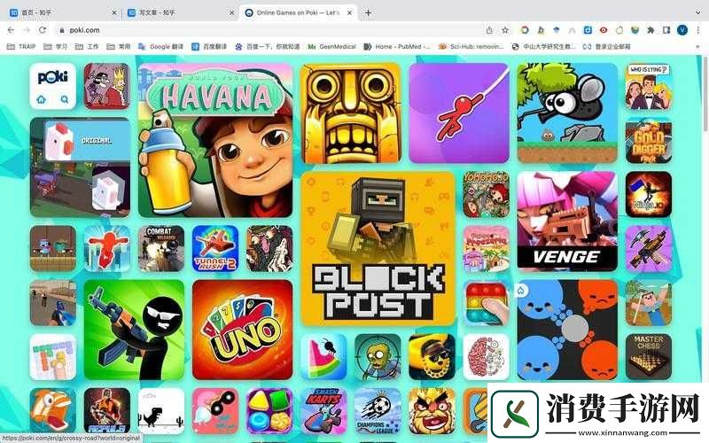 成品游戏网站入口免费