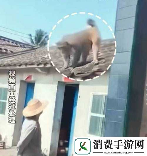 两个人生猴子全程不盖被子