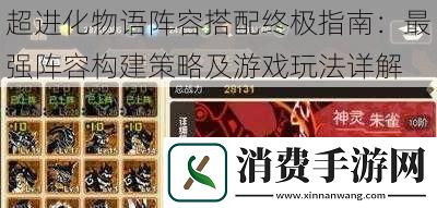 超进化物语阵容搭配终极指南