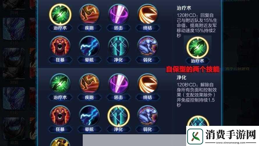 王者荣耀玩法师遇控多带啥召唤师技能好