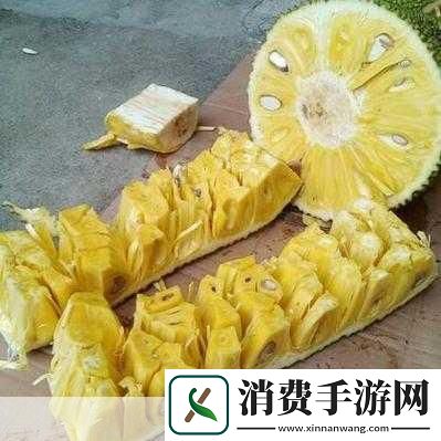探秘亚精产品一三三三菠萝蜜主题1.