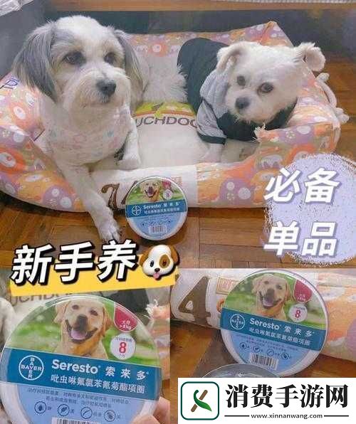 人狗胶配方大全狗狗