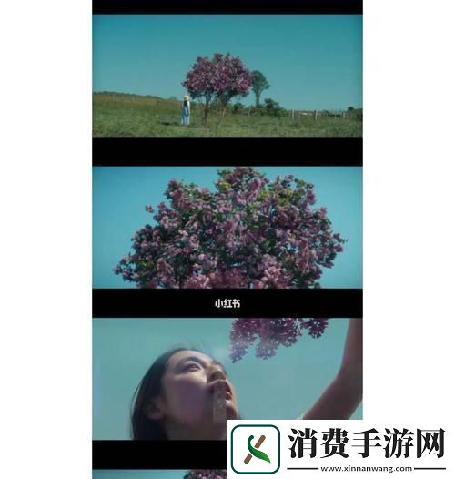 笑谈“丁香花”传奇