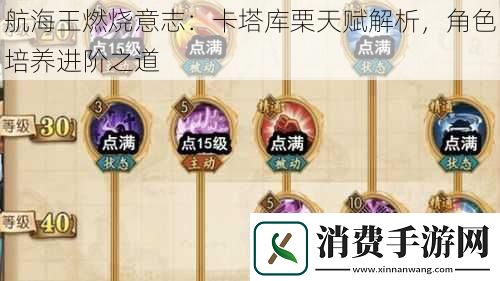 航海王燃烧意志