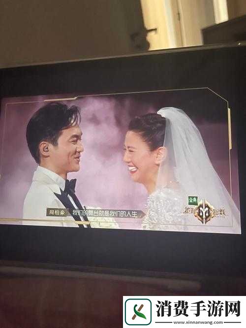 gogogo是免费的还是仿