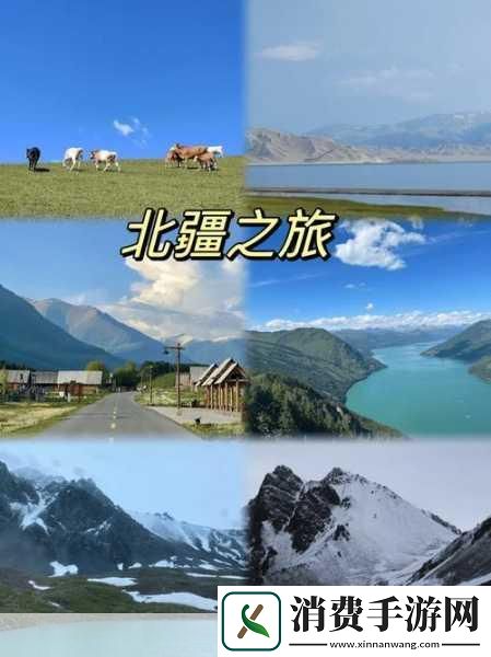 新疆XXXXXL19D主题探索1.