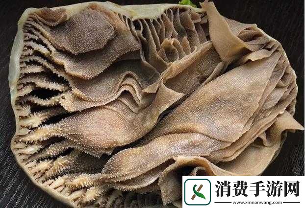 牛百叶是牛的什么部位