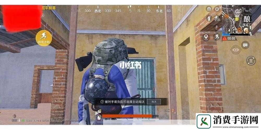 和平精英背人功能正式上线时间