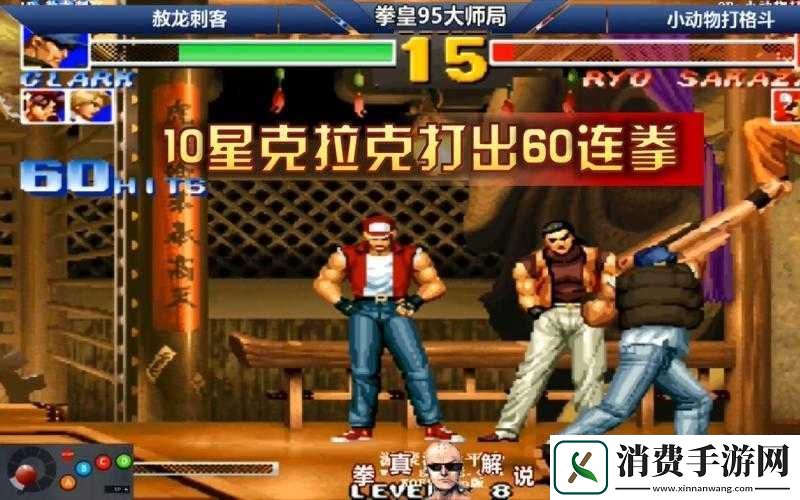 天命拳皇凯伊莎星拳技图鉴与星拳大公解析