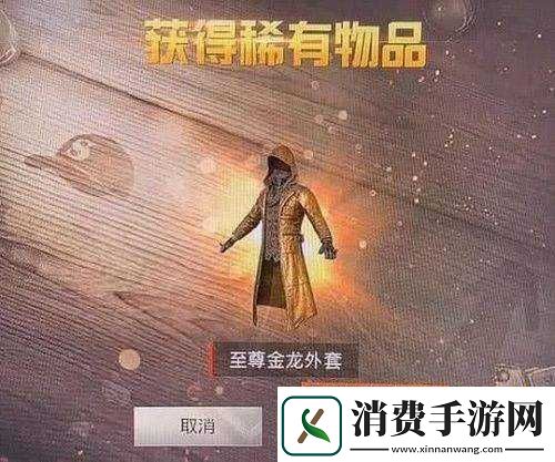 如何获取至尊金龙外套