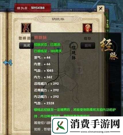 阴真经门派武学克制策略详解