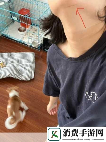 中国bgmbgmbgm老太太毛多多老太太毛多多的奇幻冒险与友谊之旅