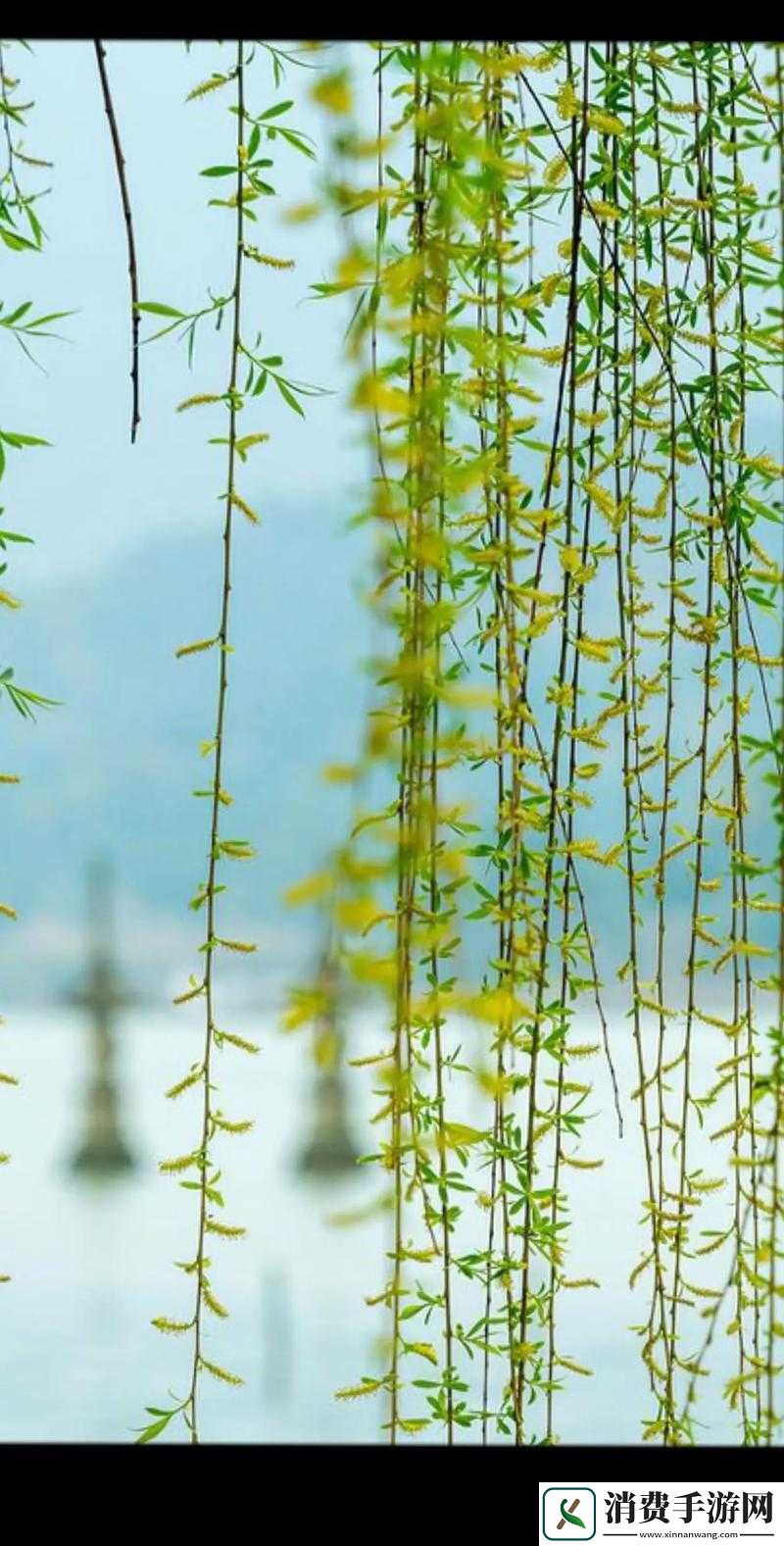 老孙头的春天林初晴