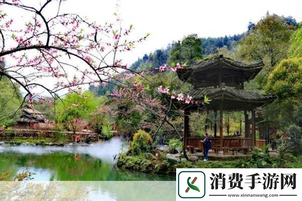 重游母亲桃花源1.