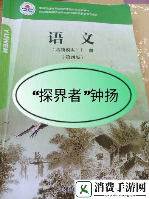 肉食教师食取报告