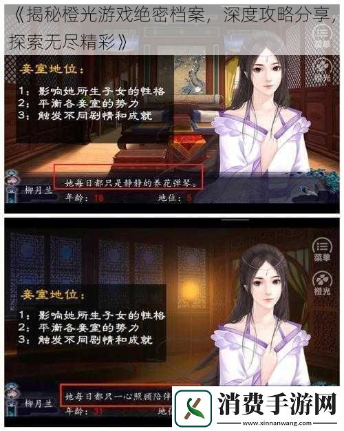 揭秘橙光游戏绝密档案深度攻略分享探索无尽精彩