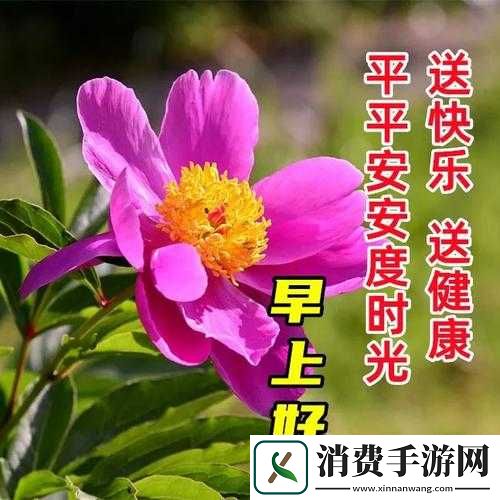 香蕉久久丫精品忘忧草产品