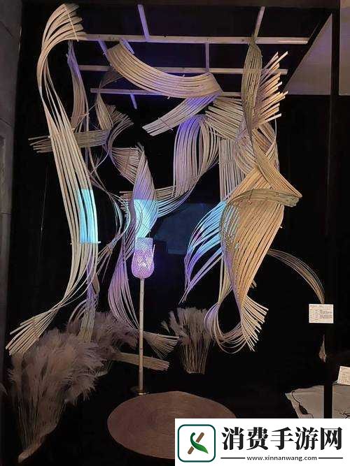 顶尖大但人文艺术展览