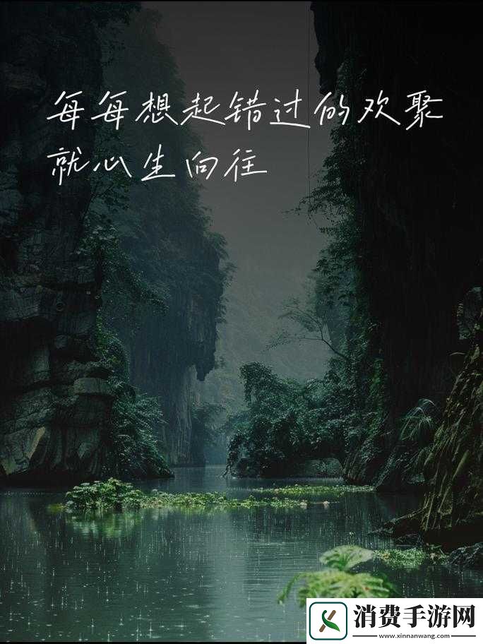 在姨母家的遗憾