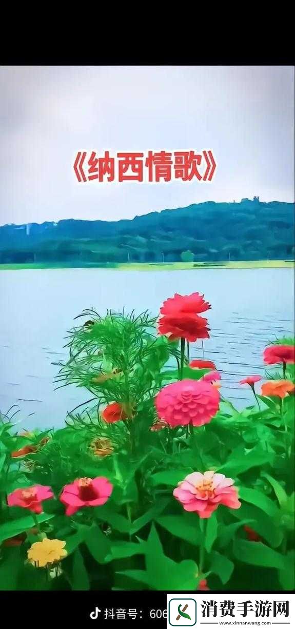 抖音预言坠落残伤情歌