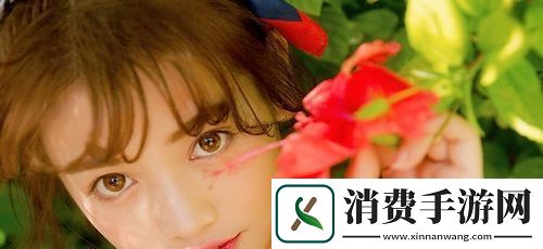 免费站在线观看高清版电视剧