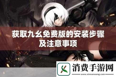 九幺高危风险9.1免费版安装注意