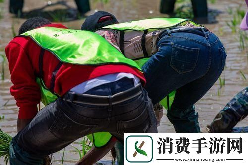 外国情侣插秧“神操作”