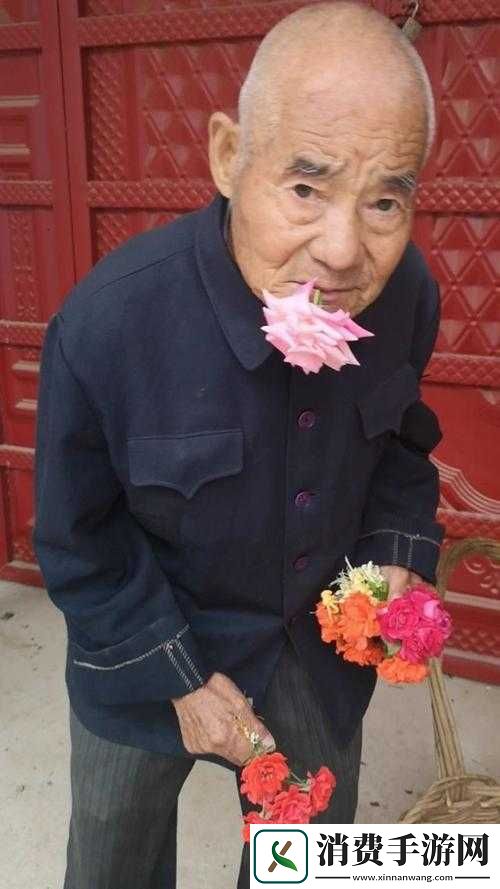 老王头的春天林初晴