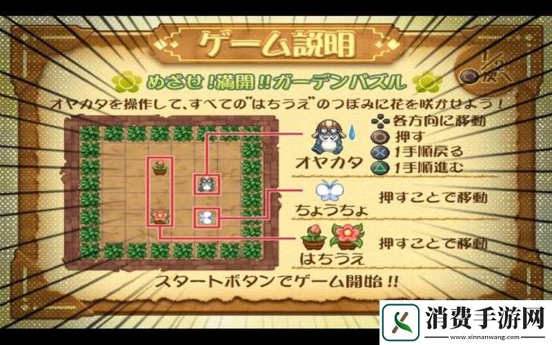 召唤之夜4花园解谜攻略修改版