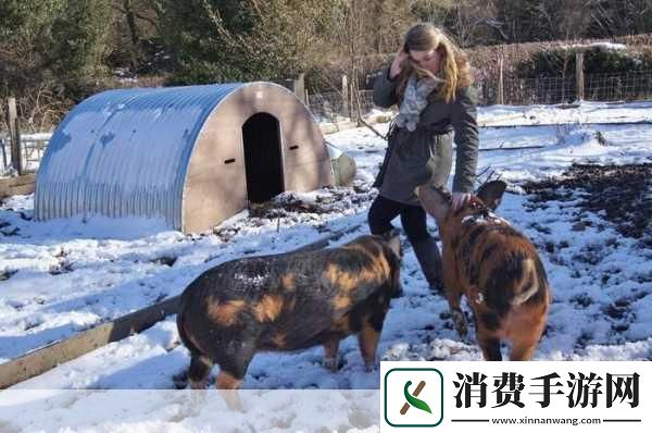 高清人和猪又细又长像钻头