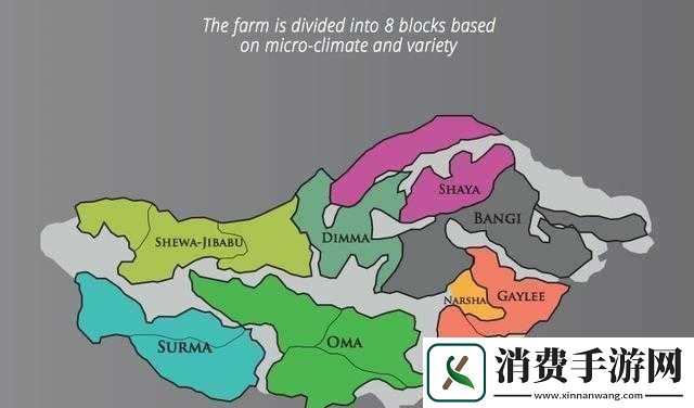 麻豆一二三产区区别