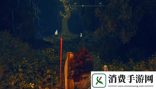 艾尔登法环dlc远方之恢复如何获取