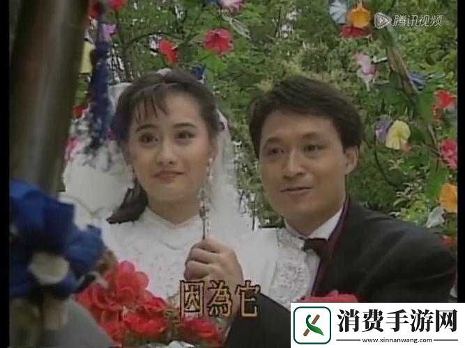 男女之情的梅花三弄