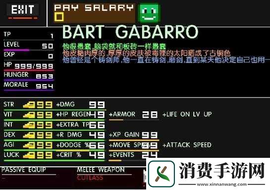 像素海盗游戏攻略修改版